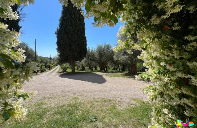 Maison de campagne à vendre 06061 Castiglione del Lago, localita croce 2, Ombrie, Image 32/38