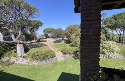 Propriétés historiques, Propriété avec oliveraie et vue sur la vallée et les montagnes près de Castiglione del Lago
