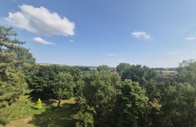 Château à vendre Koźmice, Basse-Silésie, Image 5/35