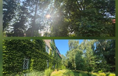 Château à vendre Koźmice, Basse-Silésie, Image 12/35