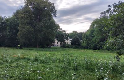 Manoir à vendre Pakosław, Grande-Pologne, Image 15/15