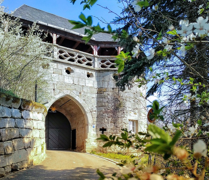 Propriétés historiques, Passion pour la restauration du patrimoine