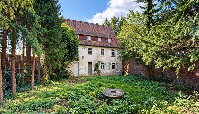 Propriété historique à vendre 06686 Lützen, Saxe-Anhalt