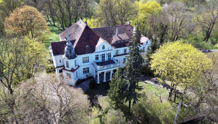 Château à vendre Uścikowo, Cujavie-Poméranie