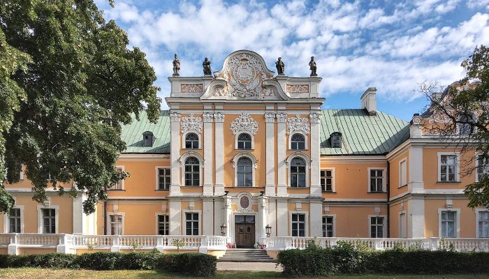 Château à vendre Czempiń, Grande-Pologne