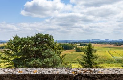 Château à vendre Nouvelle-Aquitaine, Image 19/22