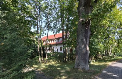 Manoir à vendre Łódź, Image 22/24