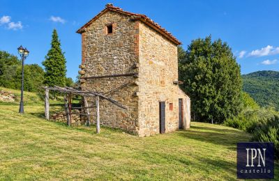 Maison de campagne à vendre Santa Maria alla Rassinata, Toscane, Image 18/42