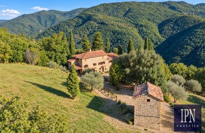 Maison de campagne à vendre Santa Maria alla Rassinata, Toscane, Image 3/42
