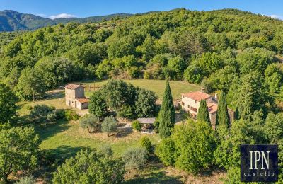 Maison de campagne à vendre Santa Maria alla Rassinata, Toscane, Image 7/42