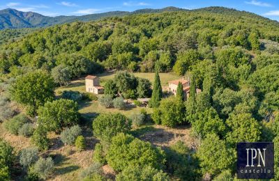 Maison de campagne à vendre Santa Maria alla Rassinata, Toscane, Image 8/42
