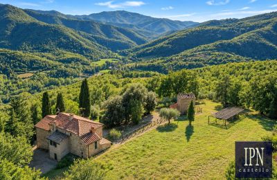 Maison de campagne à vendre Santa Maria alla Rassinata, Toscane, Image 2/42