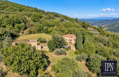 Maison de campagne à vendre Santa Maria alla Rassinata, Toscane, Image 6/42