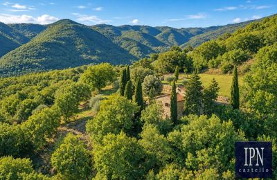 Maison de campagne à vendre Santa Maria alla Rassinata, Toscane, Image 9/42