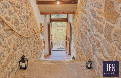Maison de campagne à vendre Santa Maria alla Rassinata, Toscane, Image 37/42