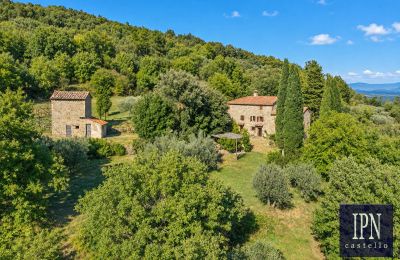 Maison de campagne à vendre Santa Maria alla Rassinata, Toscane, Image 4/42