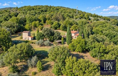 Maison de campagne à vendre Santa Maria alla Rassinata, Toscane, Image 11/42