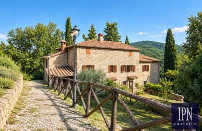 Maison de campagne à vendre Santa Maria alla Rassinata, Toscane, Image 17/42