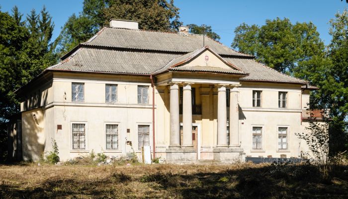Château Puszcza Mariańska 2