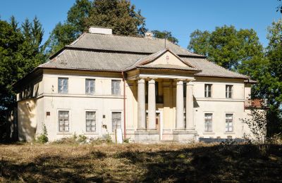 Château à vendre Puszcza Mariańska, Mazovie:  Vue extérieure