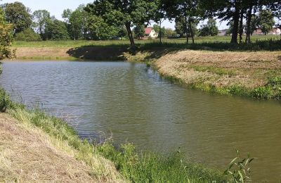 Manoir à vendre Boguszynek, Grande-Pologne,, Lac/étang