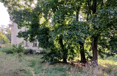 Manoir à vendre Osieczna, Grande-Pologne:  