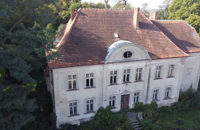 Manoir à vendre Osieczna, Grande-Pologne:  Drone