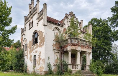 Manoir à vendre Piotrowo, Dwór w Piotrowie, Grande-Pologne, Image 1/12