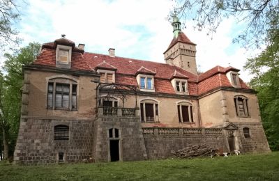 Château à vendre Stołeczna, Pałac w Stołecznej 20, Poméranie occidentale, Vue de l'arrière
