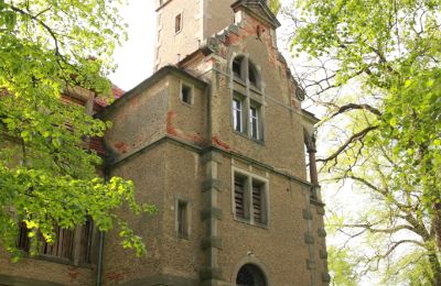 Château à vendre Stołeczna, Pałac w Stołecznej 20, Poméranie occidentale, Tour