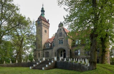 Château à vendre Stołeczna, Pałac w Stołecznej 20, Poméranie occidentale, Vue extérieure