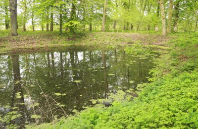 Château à vendre Stołeczna, Pałac w Stołecznej 20, Poméranie occidentale, Lac/étang