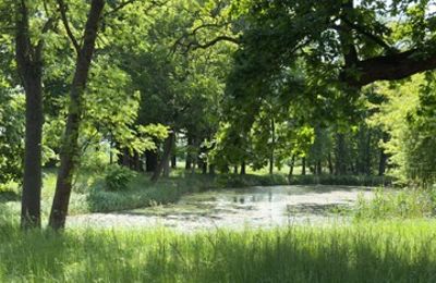 Manoir à vendre Gierłachowo, Dwór w Gierłachowie 18a, Grande-Pologne, Image 33/34