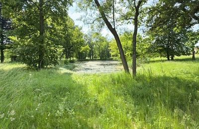 Manoir à vendre Gierłachowo, Dwór w Gierłachowie 18a, Grande-Pologne, Image 34/34