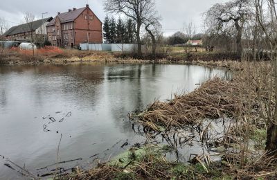 Château à vendre Bronów, Pałac w Bronowie, Basse-Silésie:  