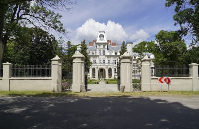 Château à vendre Malina, Pałac Malina, Łódź:  Accès