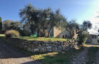 Maison de campagne à vendre Castellina in Chianti, Toscane:  RIF 2767 Olivenbäume vor dem Gebäude