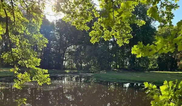 Parc avec étang du manoir de Niendorf