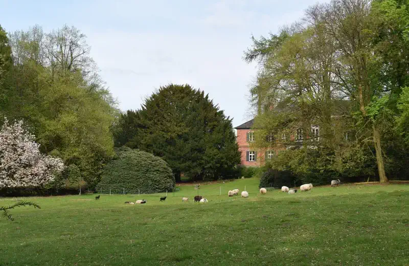 Le parc du Manoir de Niendorf / Stecknitz près de Hambourg