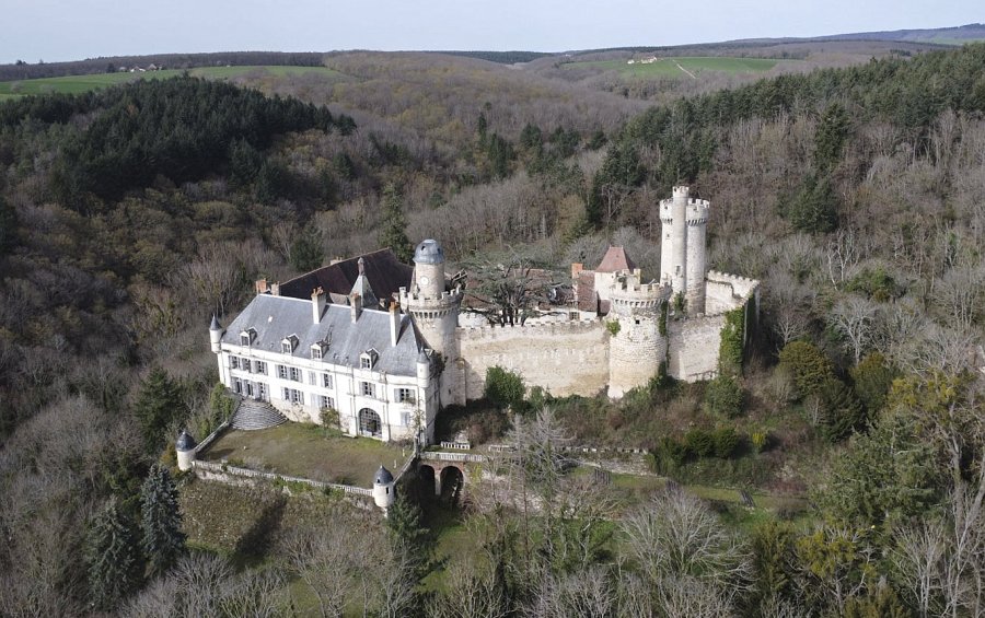 Château à vendre Auvergne-Rhône-Alpes