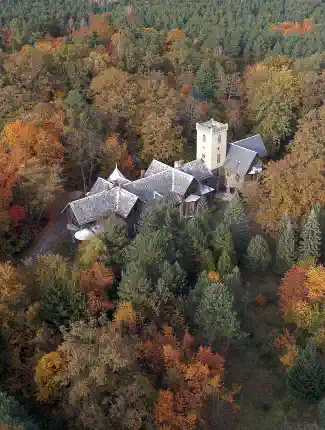Pałac Moja Wola près de Wrocław : château au cœur des forêts polonaises, Sośnie, Grande-Pologne