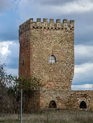 Tour du XIIe siècle – Propriété avec 7 hectares de terrain